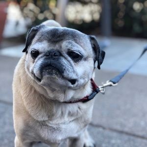 Meet your Posher, Keegan